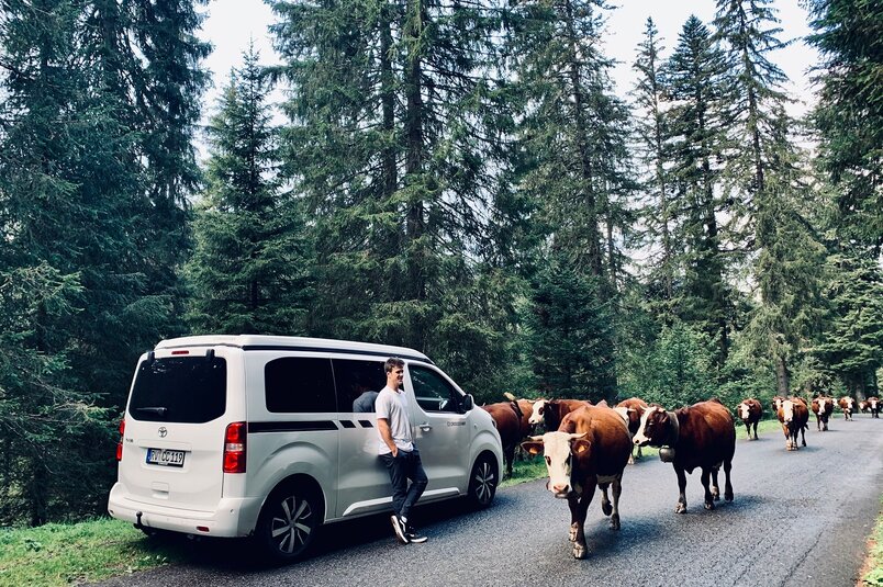 MTB-Profi George Brannigan trifft im CROSSCAMP eine Kuhherde in den Alpen