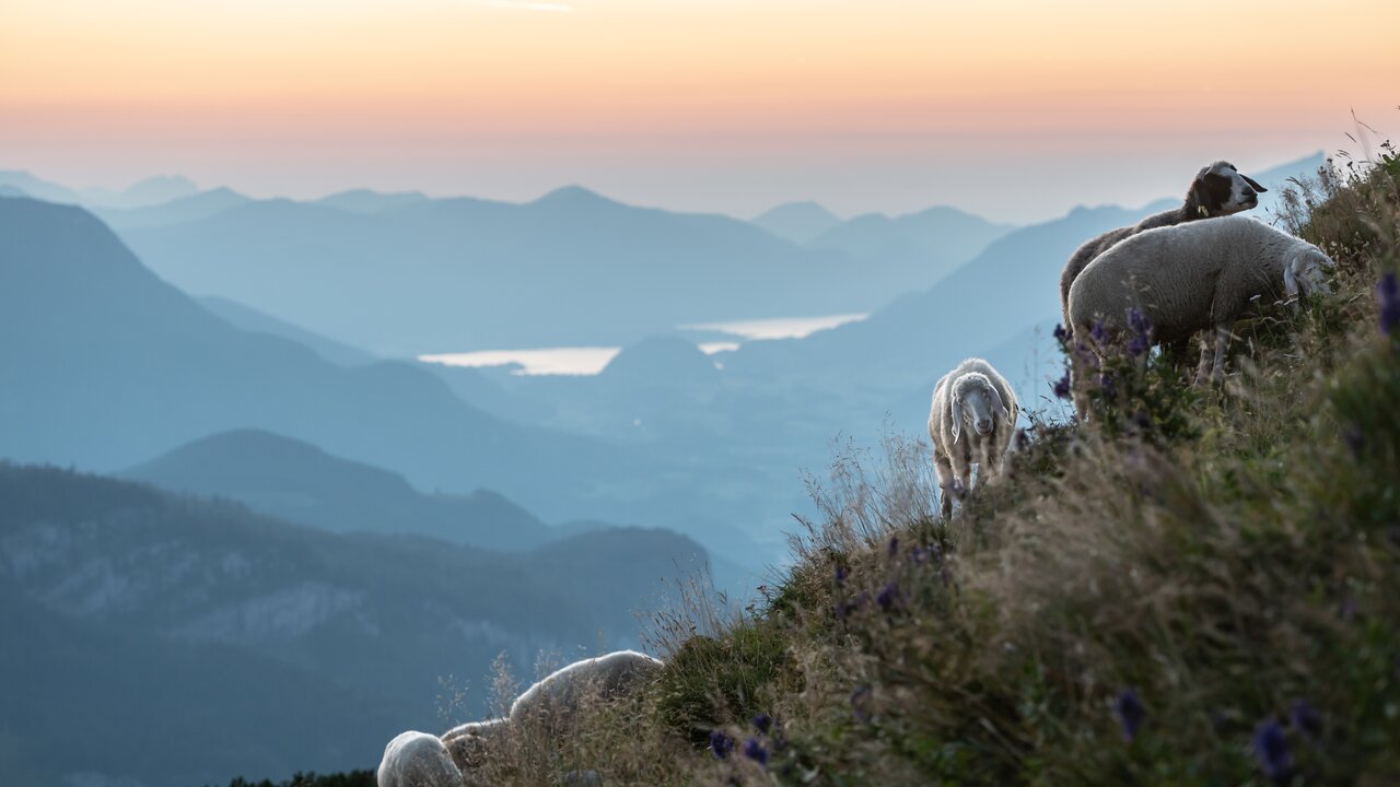 Herbstlicher Bergblick in der Steiermark