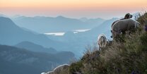 Herbstlicher Bergblick in der Steiermark