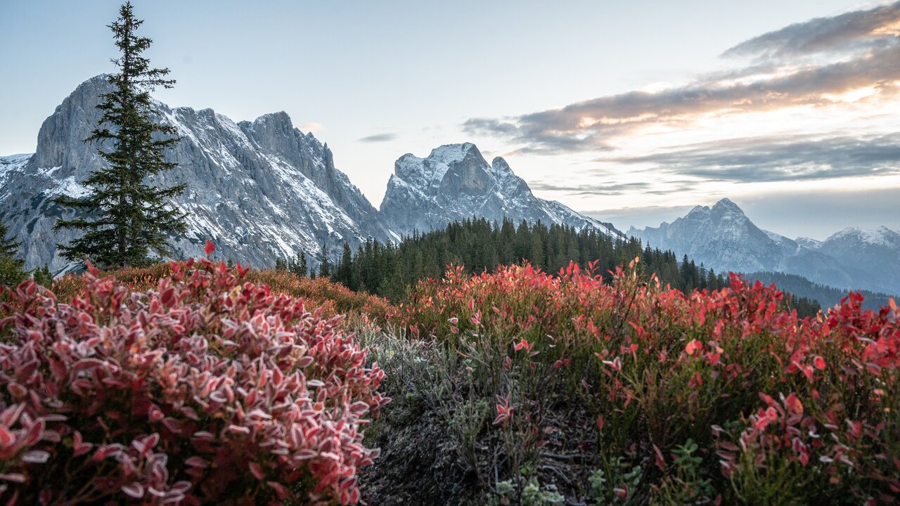 Herbstlicher Bergblick in Österreich