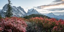 Herbstlicher Bergblick in Österreich