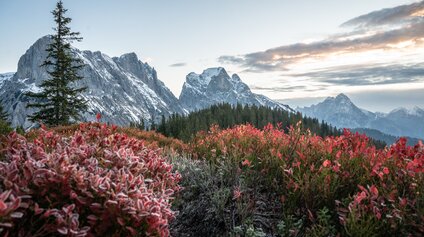 Herbstlicher Bergblick in Österreich