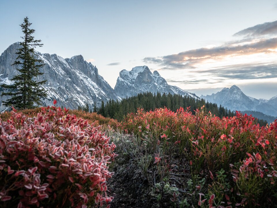 Herbstlicher Bergblick in Österreich