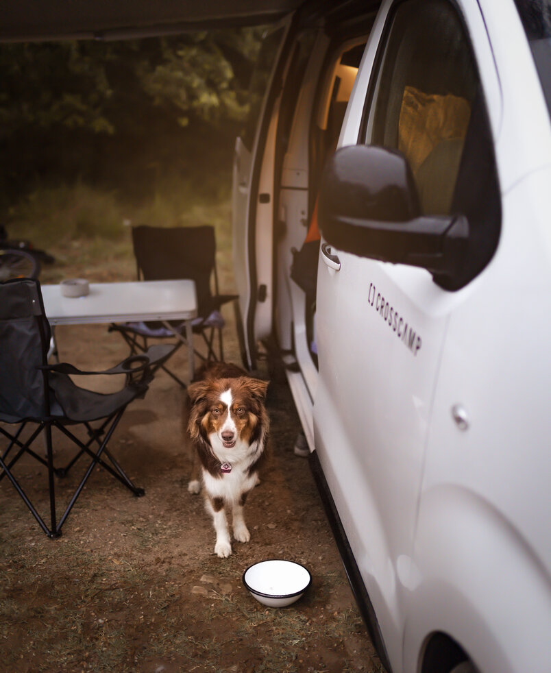 Carly Eck unterwegs mit Hund und CROSSCAMP