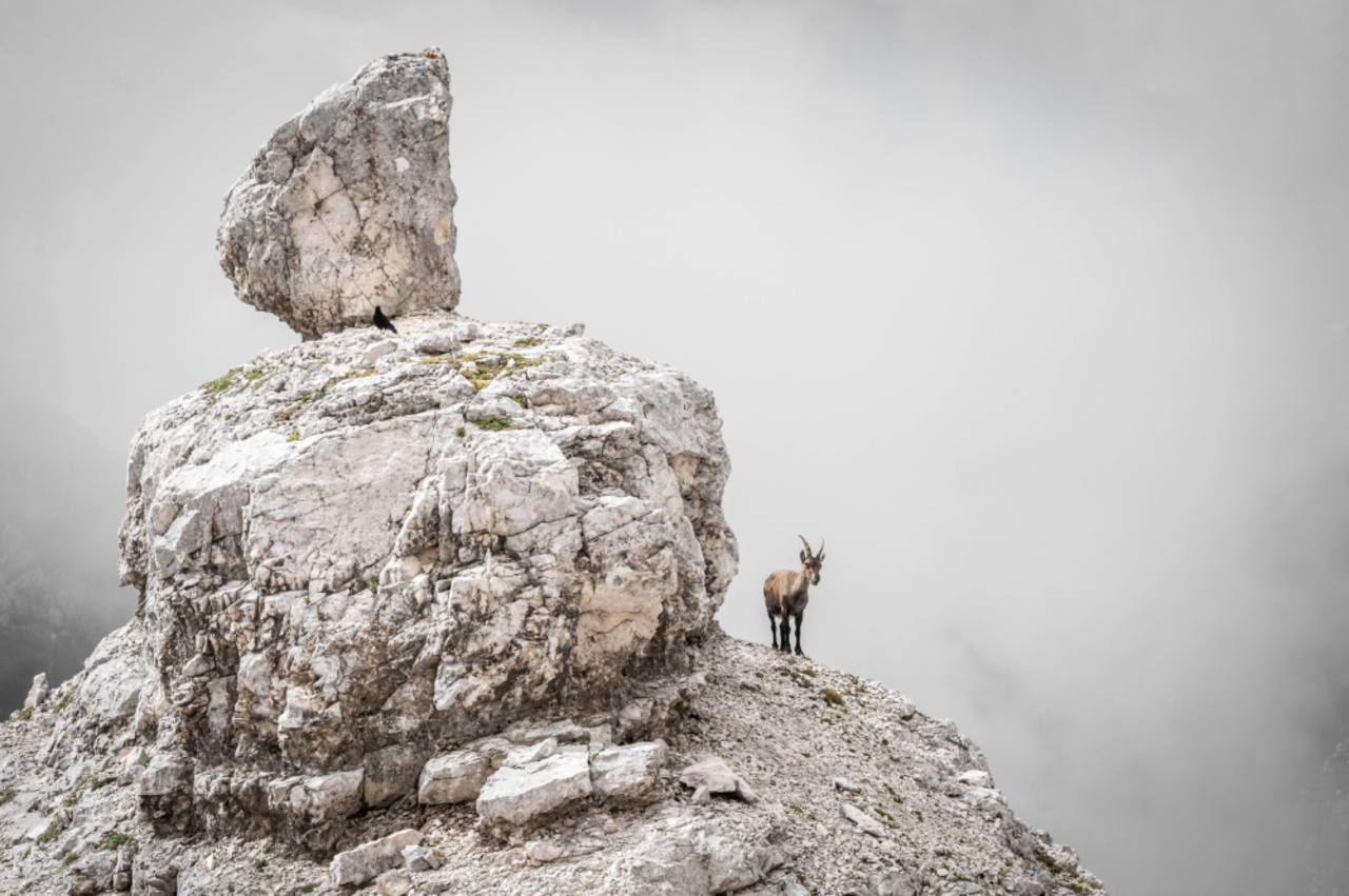 Wanderung in Slowenien