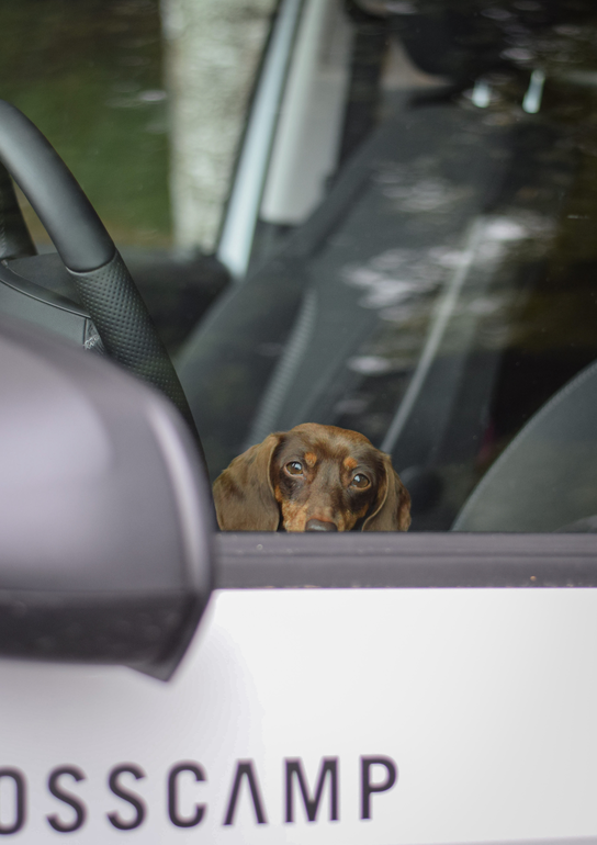 Camping mit Hund im Urban Camper von CROSSCAMP