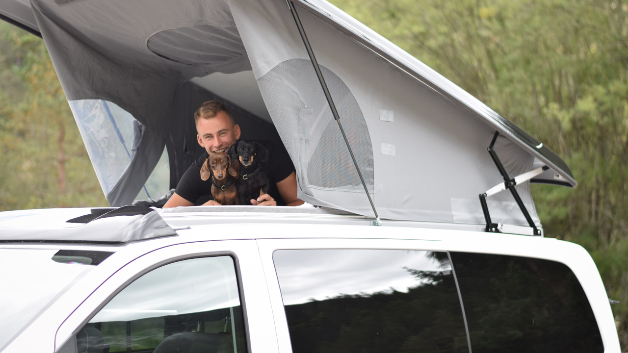 Camper Van im Test: ist er hundetauglich?