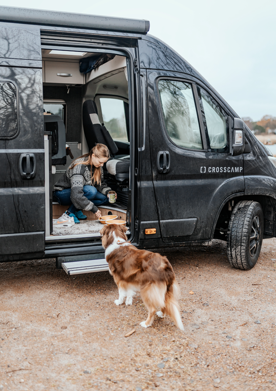 Carly Eck reist mit Hund und Camper Van durch Schweden