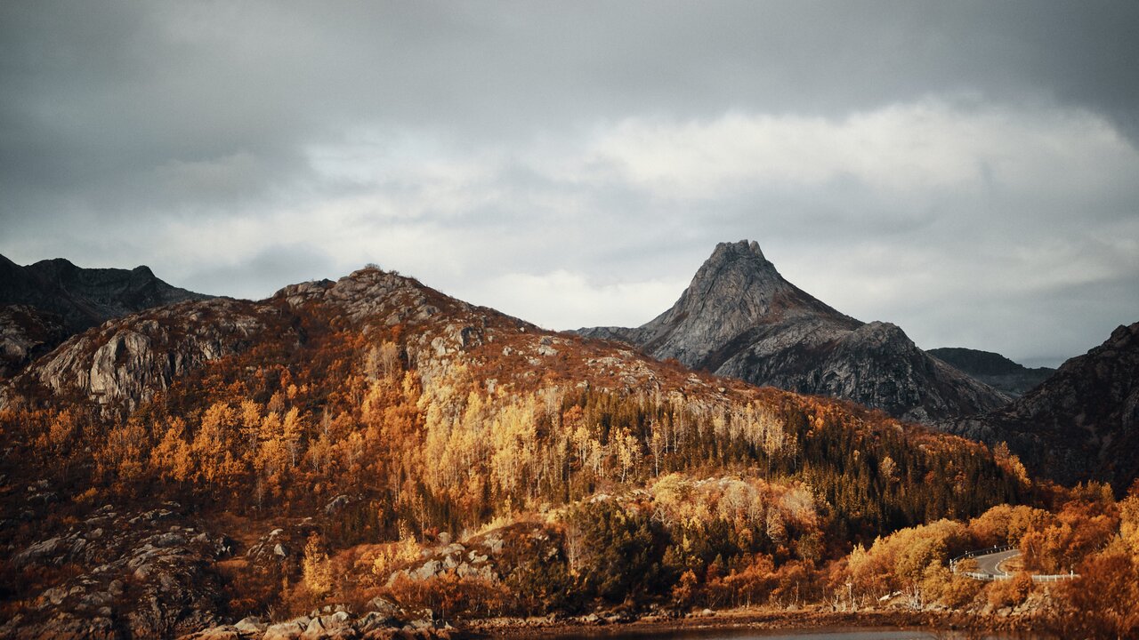 Herbstliche Natur an einem See in Norwegen