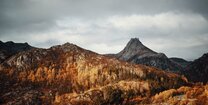 Herbstliche Natur an einem See in Norwegen